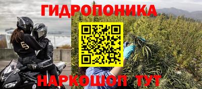 PSILOCYBIN Новозыбков