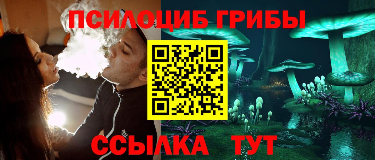 Псилоцибиновые грибы Psilocybine cubensis Узловая